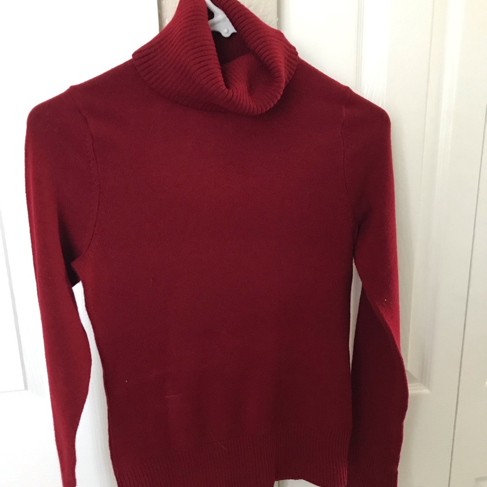Brick Red Turtleneck sweater by Take Out Medium